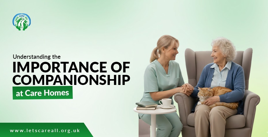 Understanding the Importance of Companionship at Care Homes